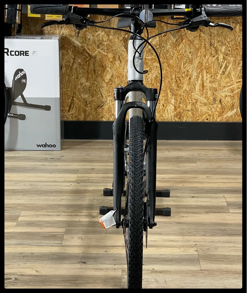 Liv Rove 3 DD Medium Silver 2022-4